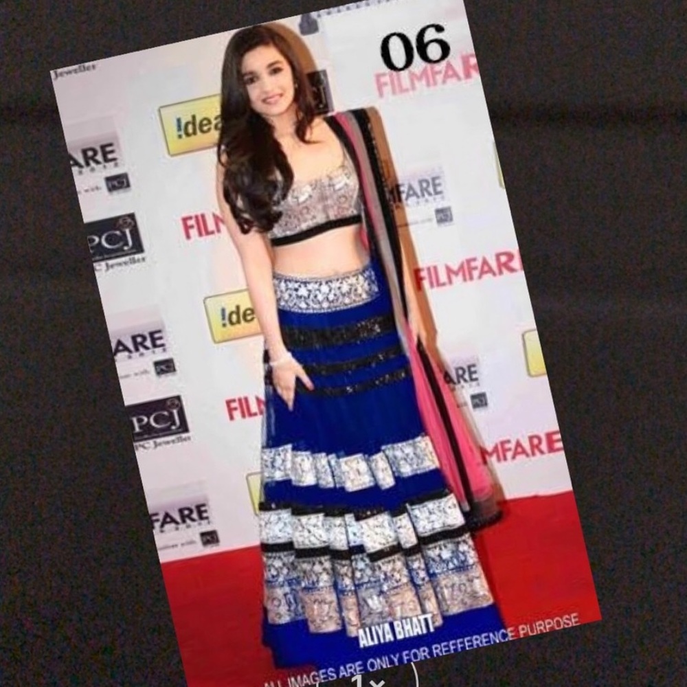 Indian/Pakistani designer Lehenga long skirt